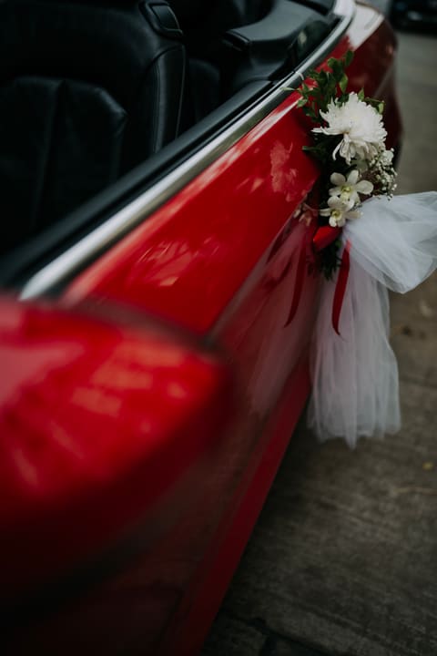 Payal & Michael &mdash; 05
